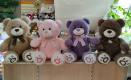 Мишки Норка